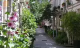 Miniature 0