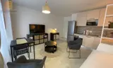 Miniature 8