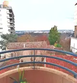 Miniature 8
