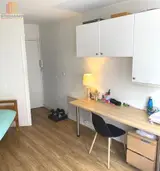 Miniature 3