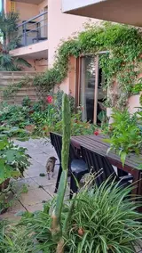 Miniature 4