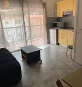 Miniature 1