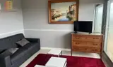 Miniature 0
