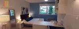Miniature 0