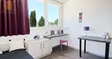 Miniature 4