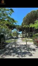 Miniature 11