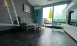 Miniature 0