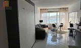 Miniature 0