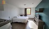 Miniature 0
