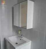 Miniature 3