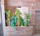 Miniature 8