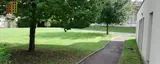 Miniature 5