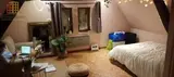 Miniature 0
