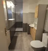 Miniature 9
