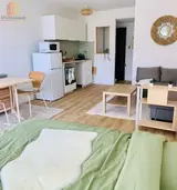 Miniature 0