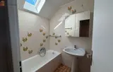 Miniature 5