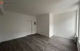 Miniature 7