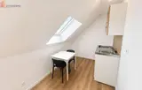 Miniature 5