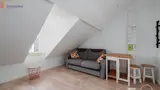 Miniature 4