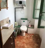 Miniature 12