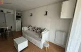 Miniature 0