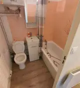 Miniature 5