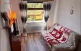 Miniature 0