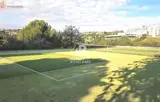 Miniature 6