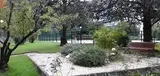 Miniature 0