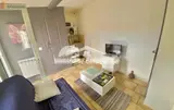 Miniature 4
