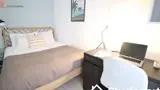 Miniature 3