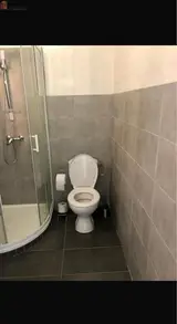 Miniature 9