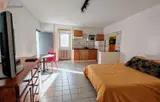 Miniature 0