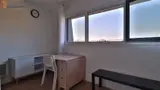 Miniature 5
