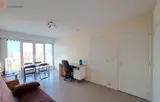 Miniature 5