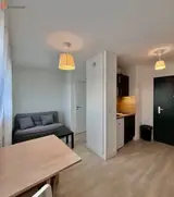 Miniature 7
