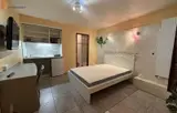 Miniature 0
