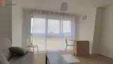 Miniature 6
