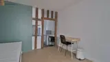 Miniature 3