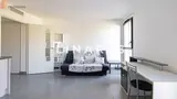 Miniature 4