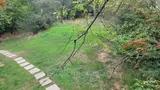 Miniature 4