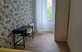 Miniature 13
