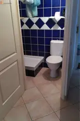 Miniature 6