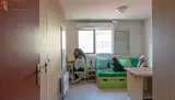 Miniature 4
