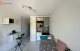 Miniature 1