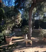 Miniature 6
