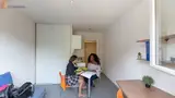 Miniature 9