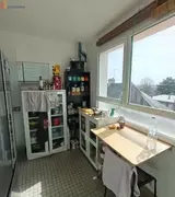 Miniature 8