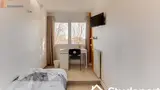 Miniature 0