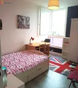 Miniature 6